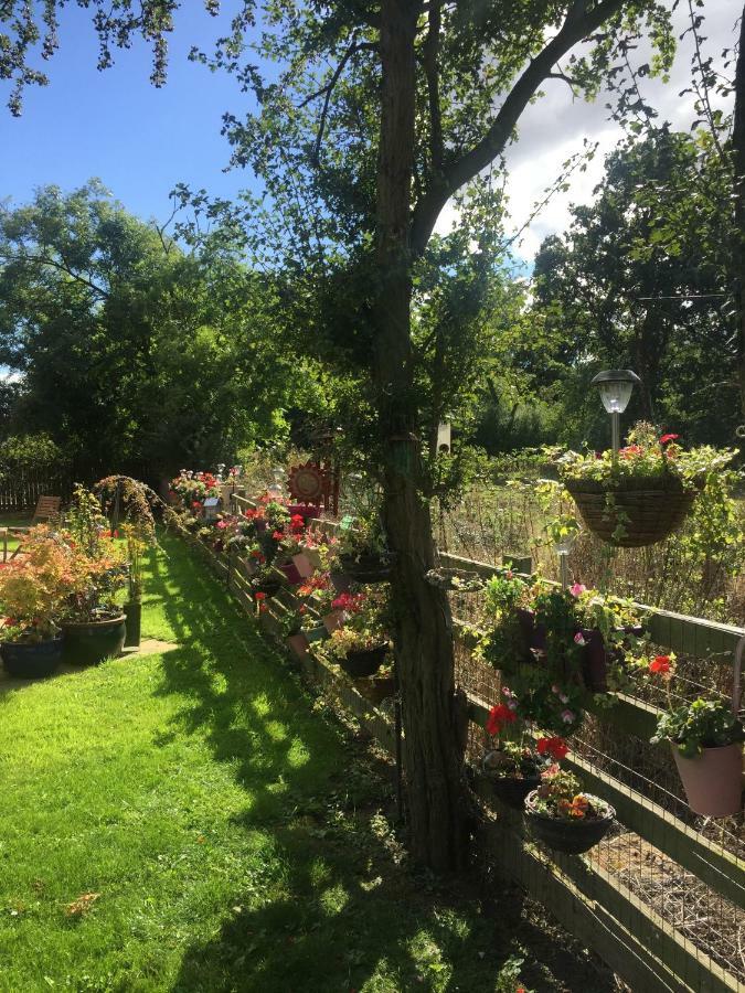 Highbury House, Warm And Welcoming. Lejlighed Darlington  Eksteriør billede